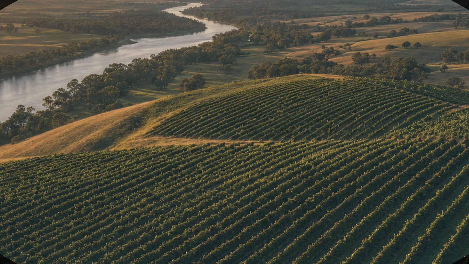 Illustrative cool-climate vineyard scene evoking Tasmania's wine country — an AI-generated scene, not a photograph of a specific winery