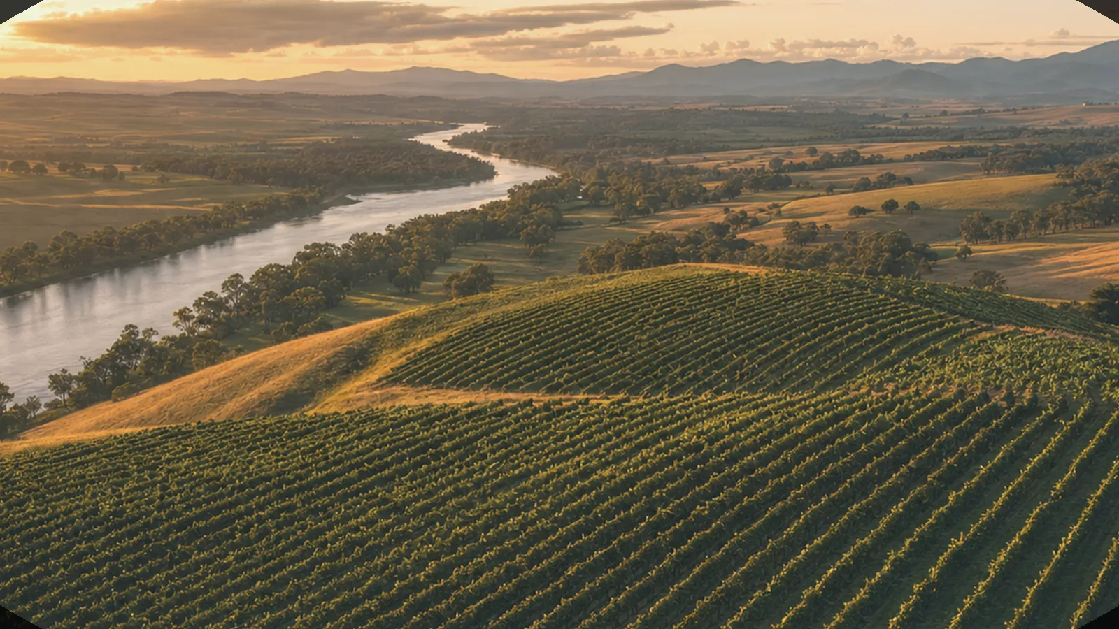 Illustrative soft-morning-mist vineyard scene evoking Victoria's wine country — an AI-generated scene, not a photograph of a specific winery