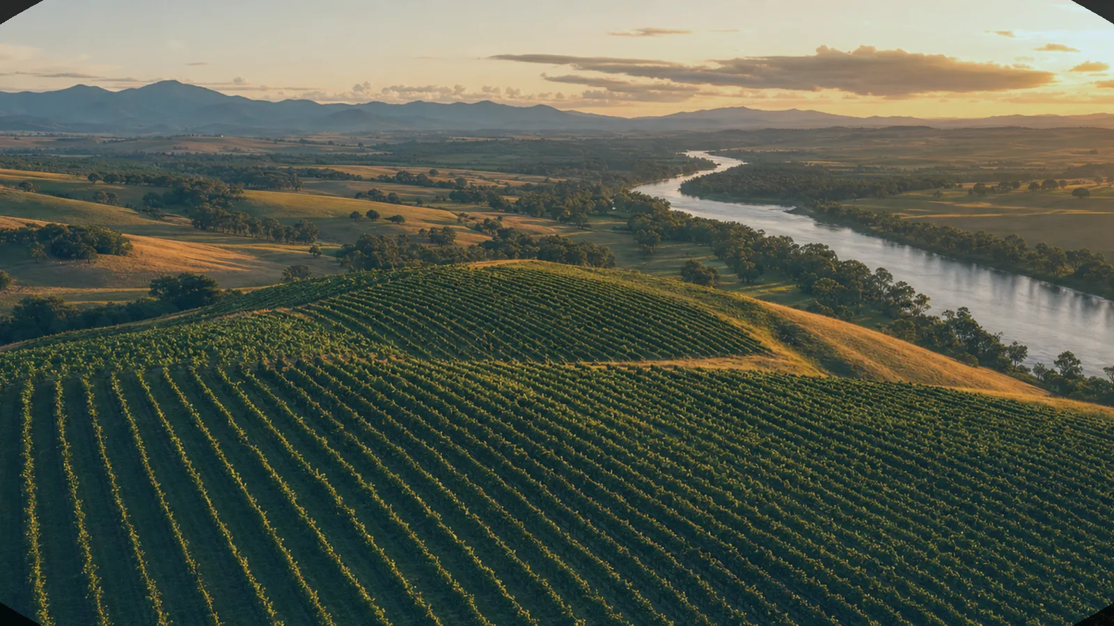 Illustrative cool coastal vineyard scene evoking Western Australia's wine country — an AI-generated scene, not a photograph of a specific winery