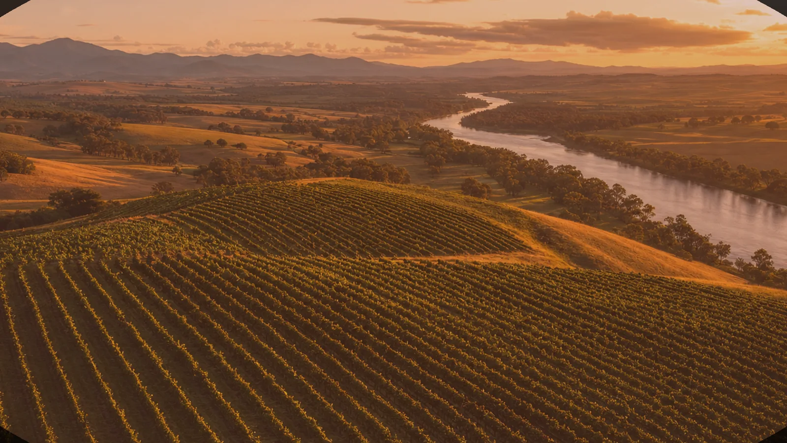 Illustrative Perth wine-bar scene — an AI-generated image, not a photograph of a specific venue