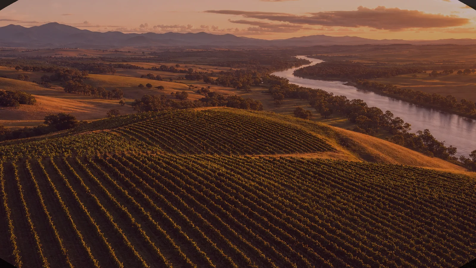 Illustrative moody dusk vineyard scene — an AI-generated scene, not a photograph of a specific venue.