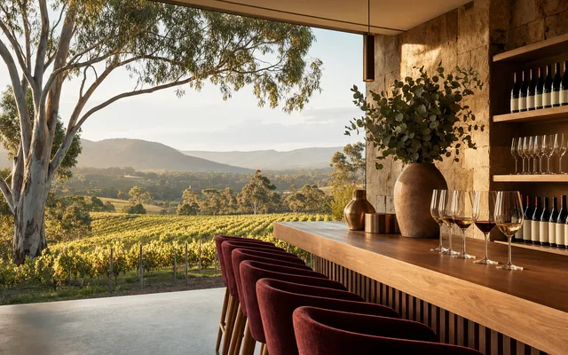 Illustrative vineyard scene for Bindi Wines — not an actual photo of the winery