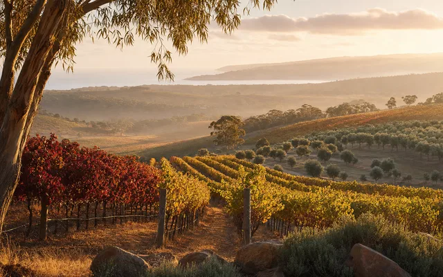 Illustrative vineyard scene for Bondar Wines — not an actual photo of the winery