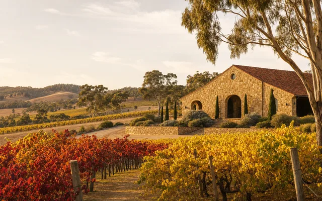 Illustrative scene for Dal Zotto Wines — not an actual photo