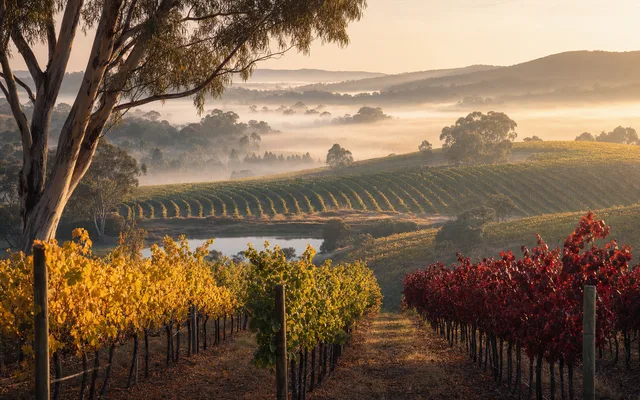 Illustrative scene for Ferngrove — not an actual photo