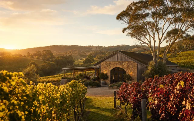 Illustrative vineyard scene for Giant Steps — not an actual photo of the winery