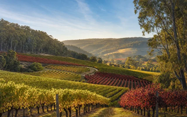 Illustrative scene for Petaluma — not an actual photo