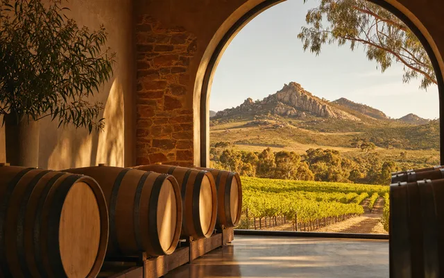 Illustrative scene for Pewsey Vale Vineyard — not an actual photo