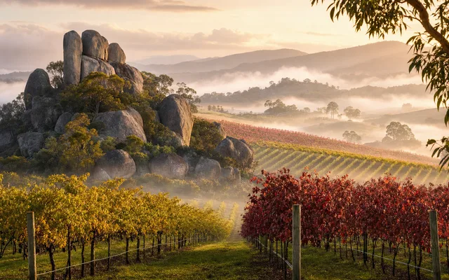 Illustrative scene for Twisted Gum Wines — not an actual photo